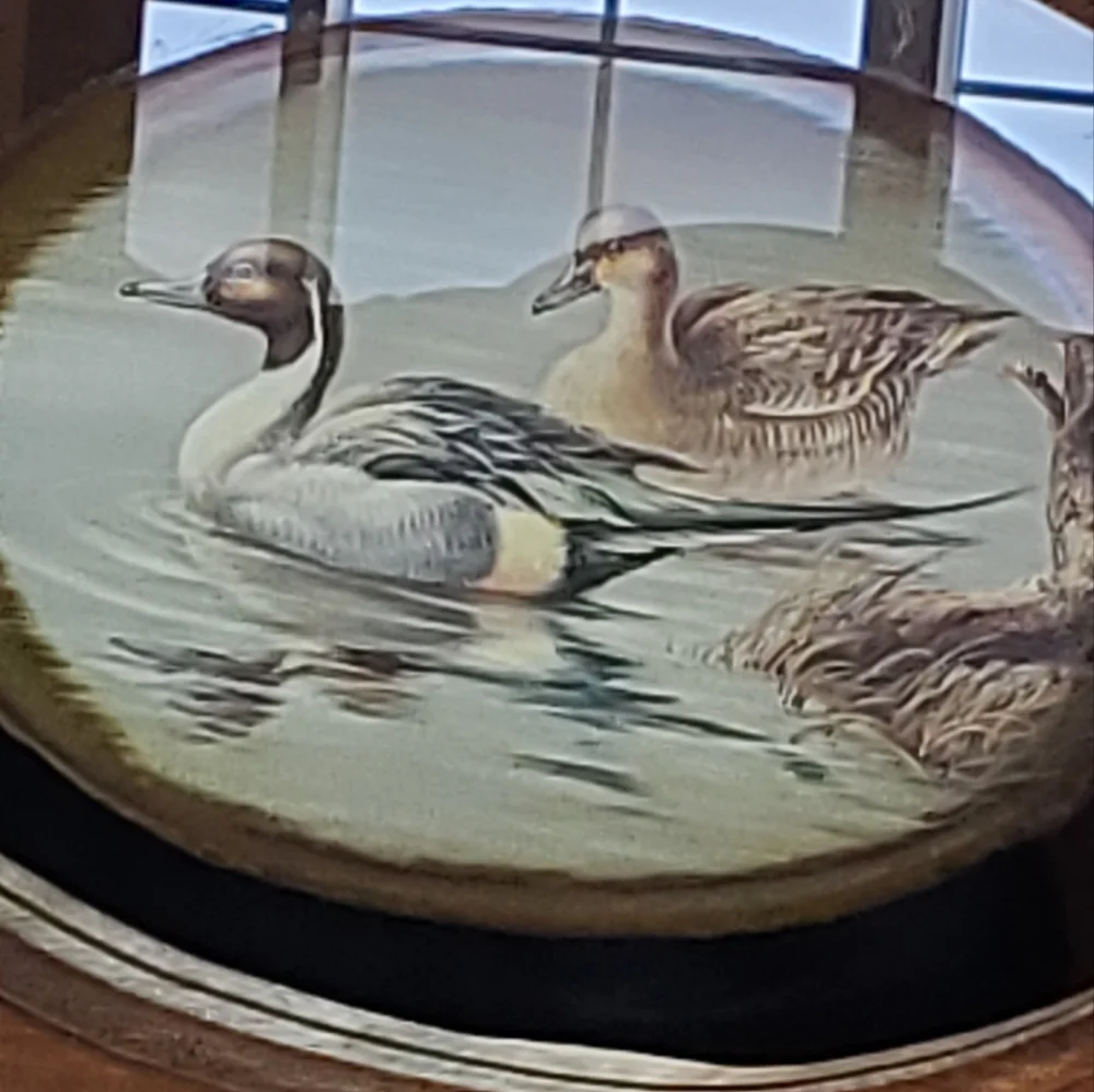 Pintail Swimming Ducks Vtg Mirror Wood Framed Wall Hanging Plaque Retro Water